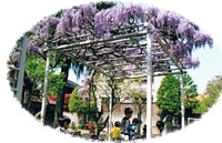 �����ŗV�Ԏq���B